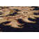 Atterbury Oriental Indoor Rug