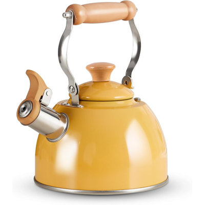 Bouilloire compacte pour cuisinière à sifflet: acier inoxydable de qualité alimentaire avec poignée ergonomique résistante à la chaleur.