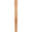 Attelle de genou Funston-1812888343-1803676012-1812888344