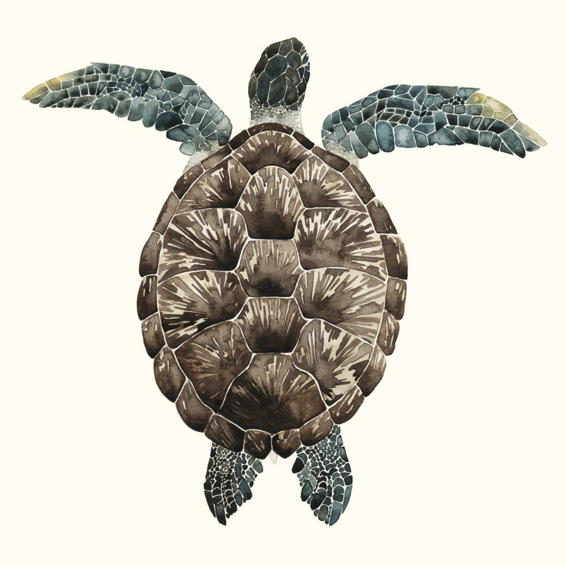 Tortue mosaïque I, H 20 po x l 20 po x P 1 po