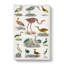Flightless Birds XXXVII by Oliver Goldsmith - Wrapped Canvas Painting-55363956