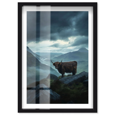 «Scottish Cow Shadowbox» par Notoriart