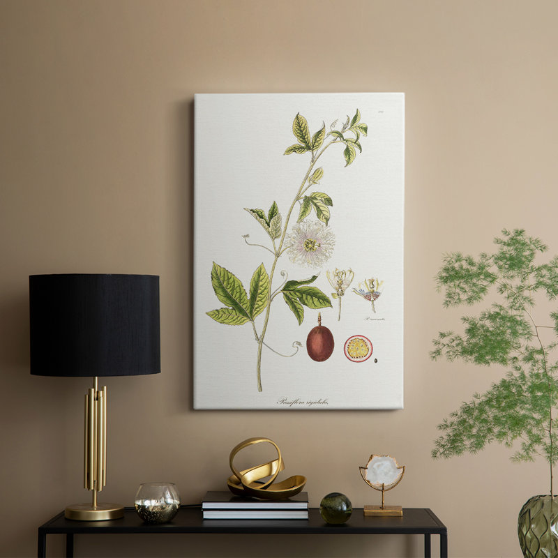 Passion Flower Trio II -Galery Enveloppé Cavas, H 27 po x l 18 po