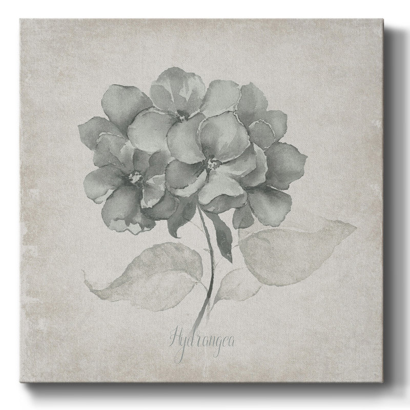 " Vintage Hydrangea ", 24" H x 24" W x 1.5" D