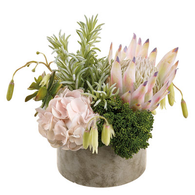 Jardinière en ciment rose 11 "hydrangea / protea / succulent 11"