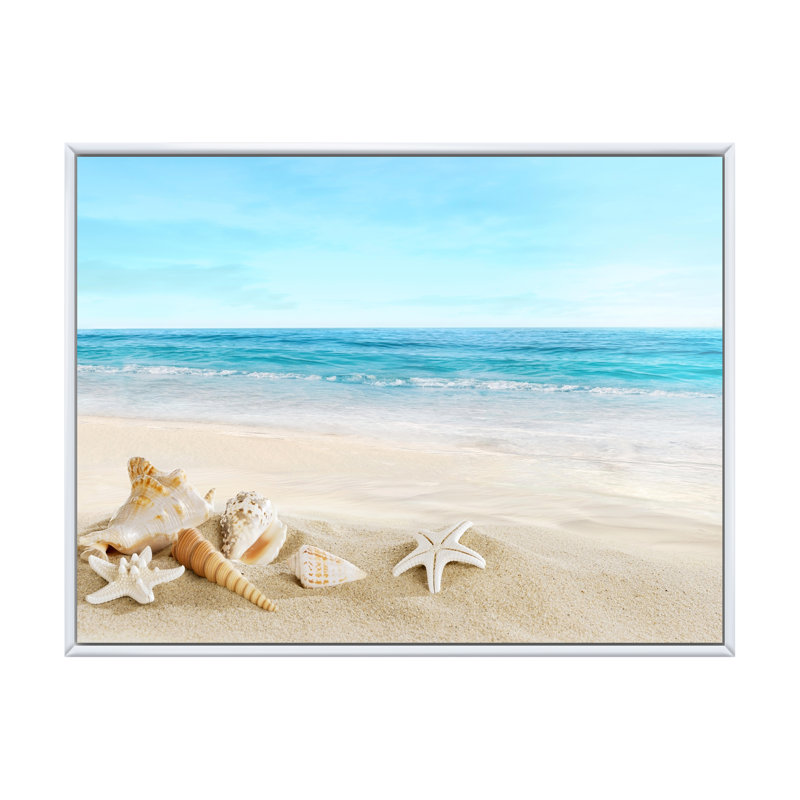 Paysage avec coquillages sur une plage tropicale - photographie sur toile, H 24 po x l 32 po, Cadre flottant blanc