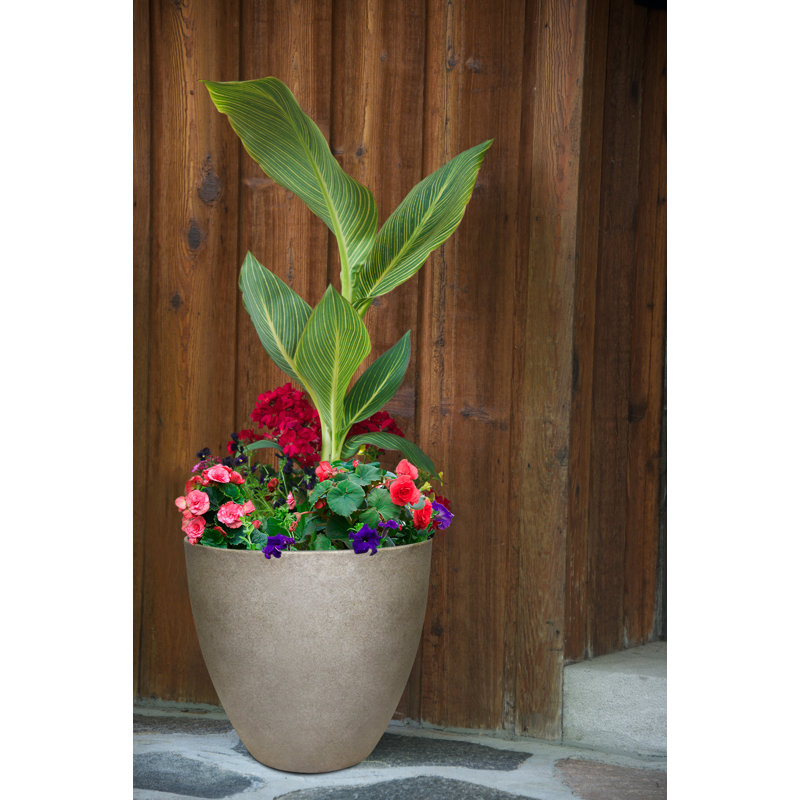 Round Egg Resin Planter, 7.5" H x 9.25" W x 9.25" D, Bone