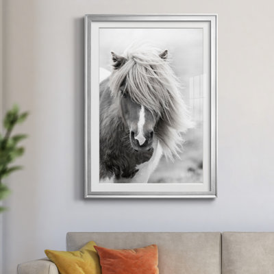" Shetland Summer " by Danita Delimont