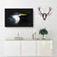 Pied Heron - Wrapped Canvas-56641613