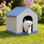 Niche pour chien en plastique toutes saisons