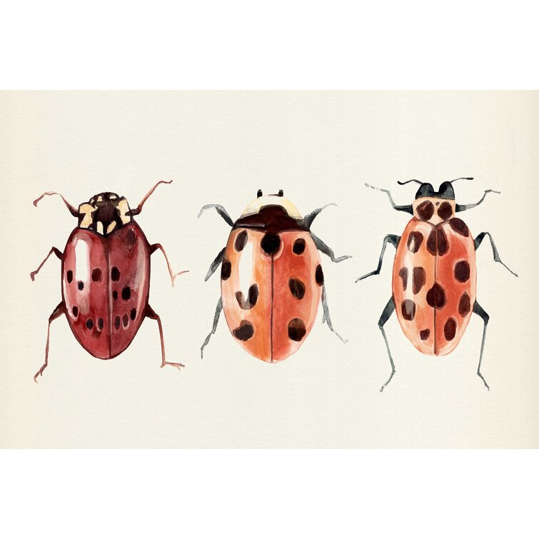 Ladybug Display I by Annie Warren - Wrapped Canvas Print Gracie Oaks Size: 32 H x 48 W x 1.25 D