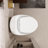 Ceramic Egg Shape Bathroom Toilet - Glossy White, 1.28 Single Flush, Accessory Modern In White Shape, Smooth Flushing Action