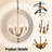 6 - Light Dimmable Globe Chandelier