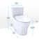 Aquia® Dual-Flush Elongated One-Piece Toilet with Tornado Flush (Seat Included)