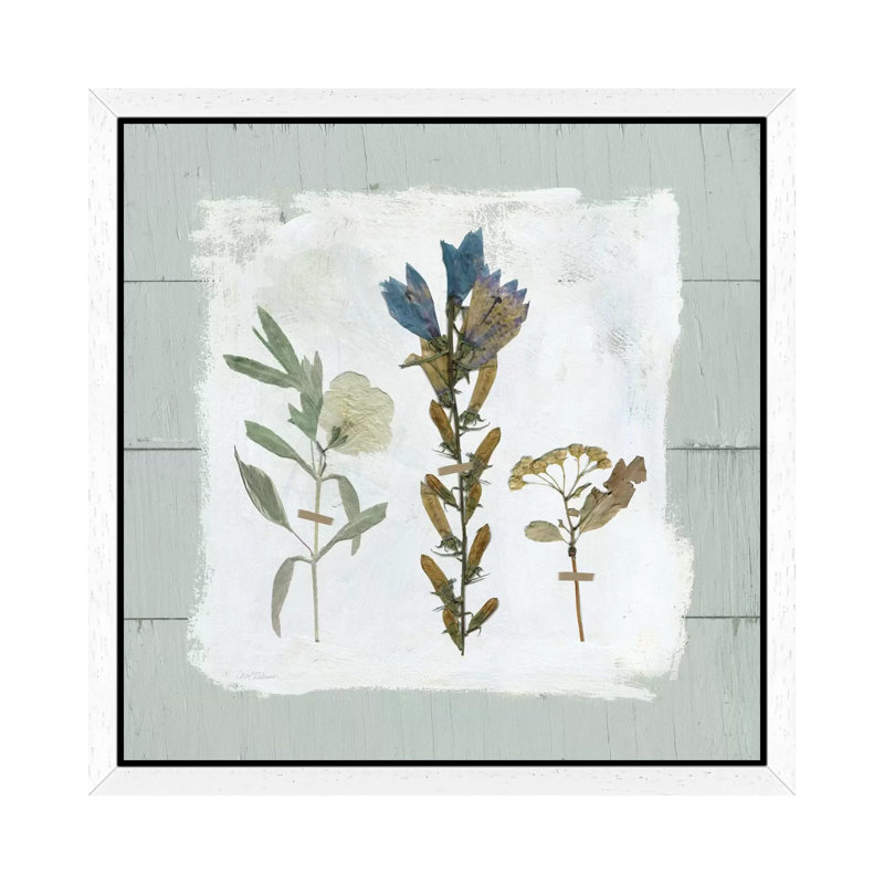 Pressed Flowers On Shiplap I by Carol Robinson - Floater Frame Painting on Canvas, White, 45.72 cm H x 45.72 cm W