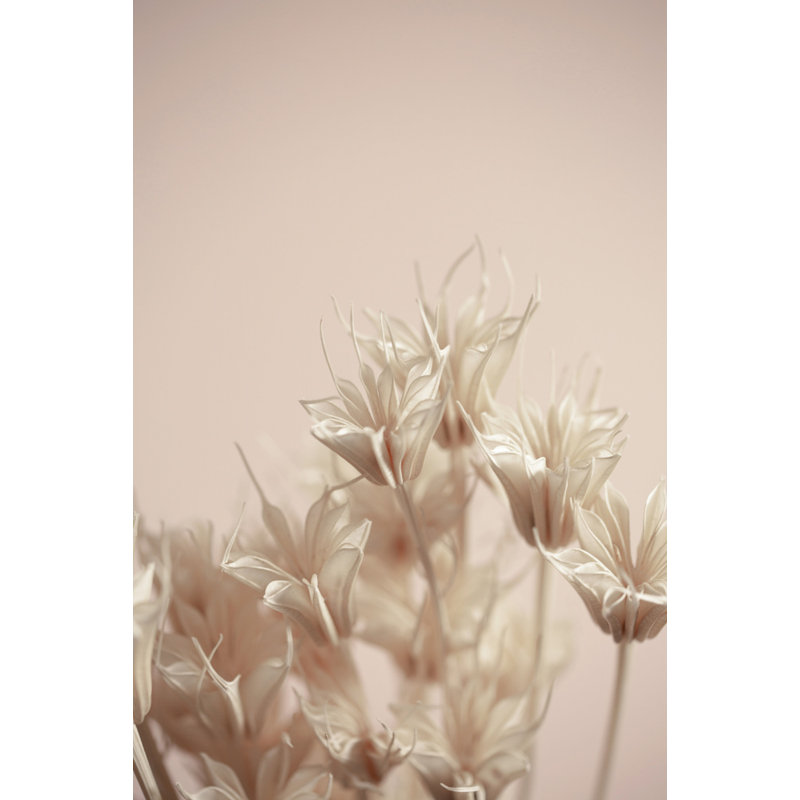 Wrapped Canvas Print, 91.44 cm H x 60.96 cm W