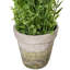 Arrangement floral lavande en pot
