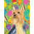 Terrier à poil soyeux sélectionné