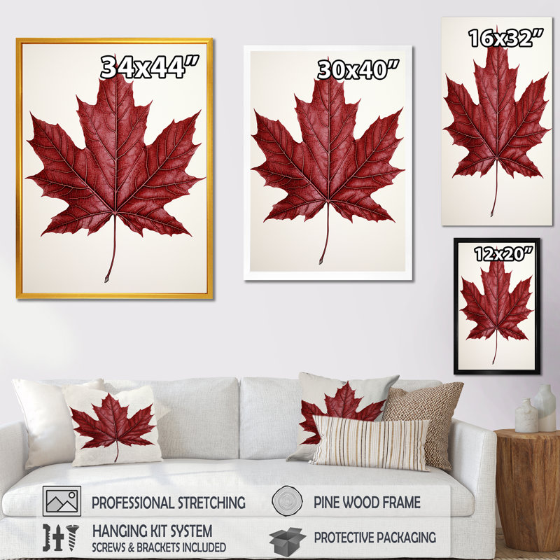 Red Maple Leaf Beauty II - Tree Maple Wall Art, Brown Floater Framed, 20" H x 12" W x 1" D