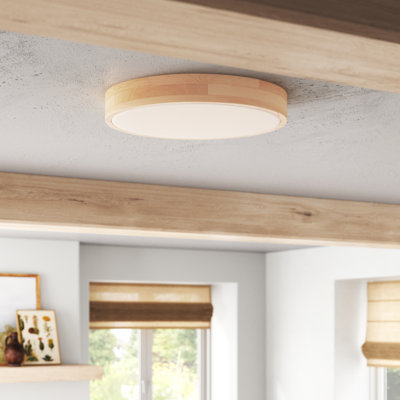 LED ceiling light 1-light Elodie, 49 cm