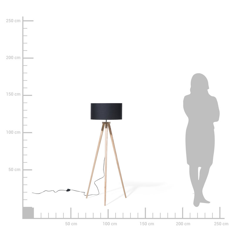 Ackerson Hellbraun Tripod Floor Lamp, Black