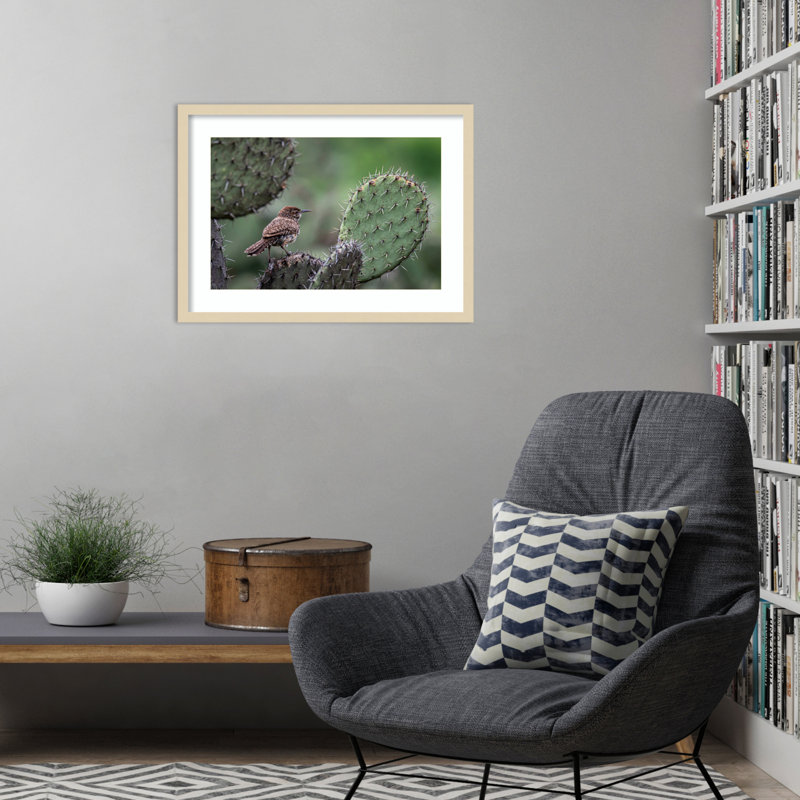 «Cactus Wren on Cactus» par Brandon Gregorius, reproduction d'art encadrée sur bois, H 19 po x l 25 po