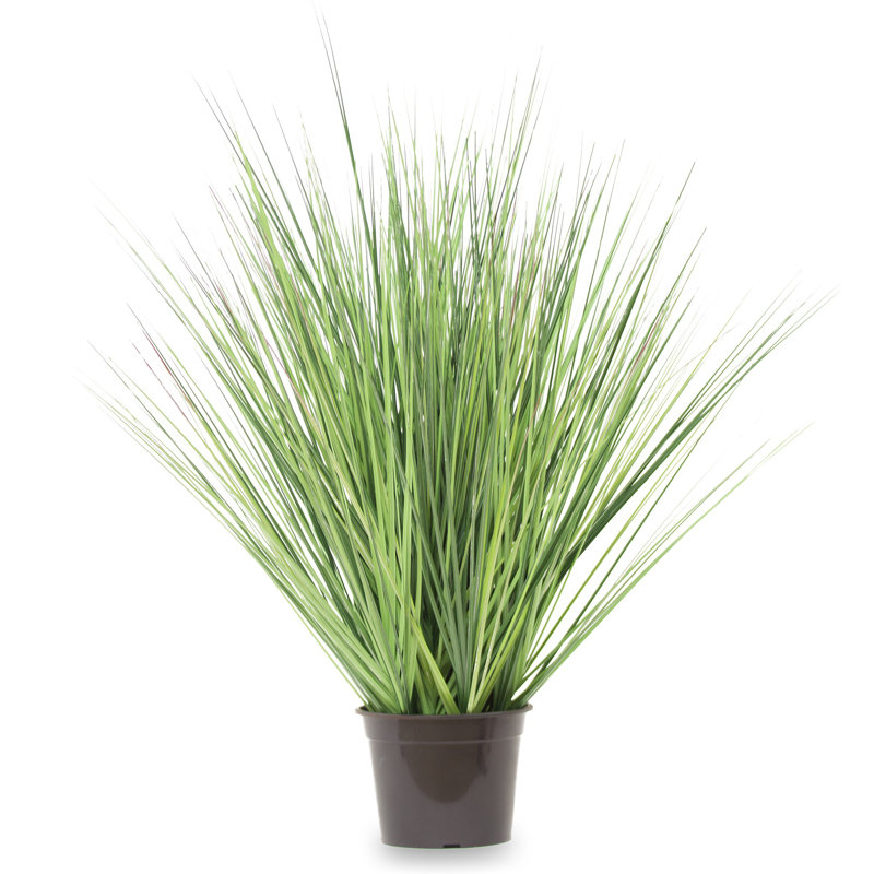 Faux Evergreen Grass in Pot, 70cm H x 37cm W x 37cm D, Dark Green, Brown