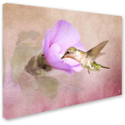 Vidur «A Taste of Nectar Hummingbird», reproduction d'impression sur toile tendue