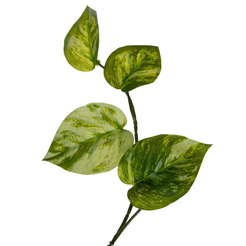 Guirlande Vickerman Manjula Pothos