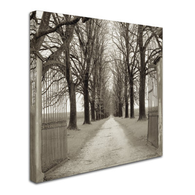 Alan Blaustein «Veneto Giardini I», reproduction de photo sur toile tendue