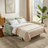 65.4’’ Upholstered Convertible Sleeper Sofa, Pull-Out Sofa Bed -1949734072