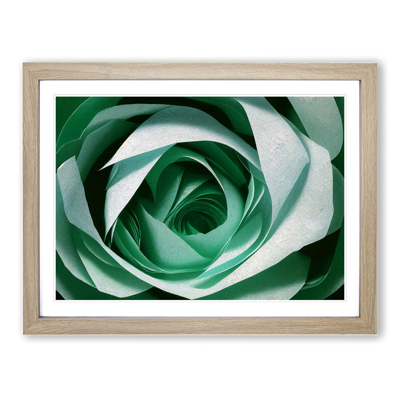 Glorious Rose Flower - Framed Print, 46cm H x 64cm W x 2cm D, Oak