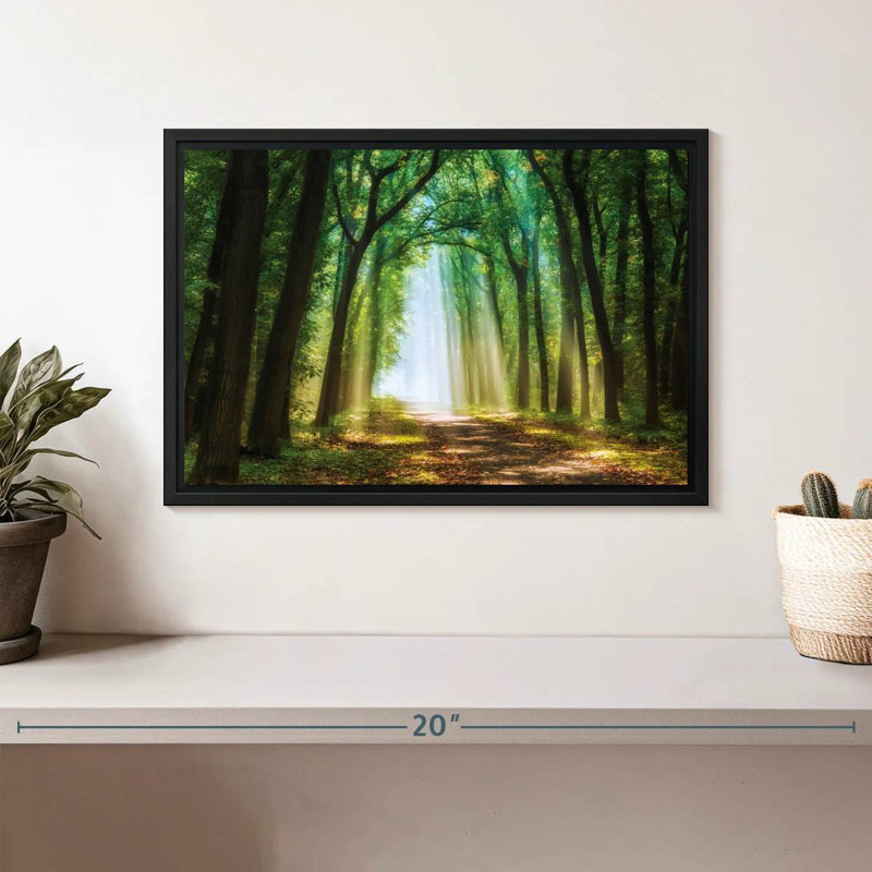 Curtain Of Light, Floating Frame Black, 13" X 9"