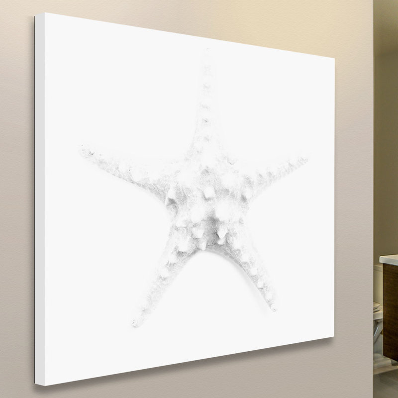 Shiro Star - Wrapped Canvas Print, 45cm H x 45cm W x 3.81cm D