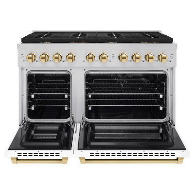 ZLINE Autograph 48" Paramount Double Oven Dual Fuel Range w/ Accents