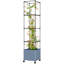 Jardinière en métal gris doux pour patio et balcon avec treillis vertical, système d'arrosage automatique et roues verrouillables de 15,7 x H 71,7