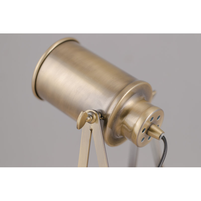 Vanleer Metal Novelty Lamp