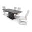 Jonathon Extendable Dining Table-23705840