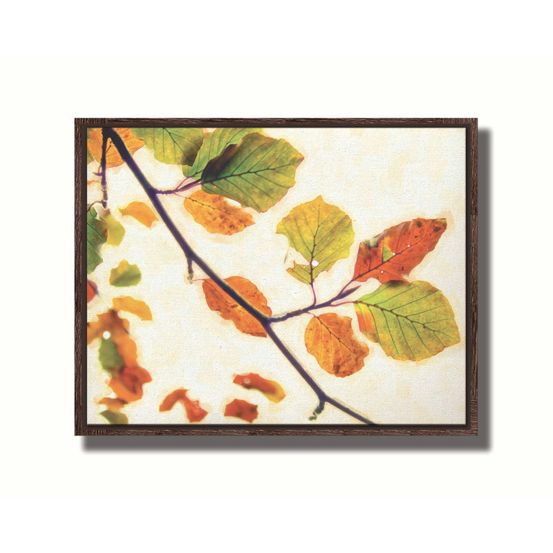 Gravure d'automne I par Hal Halli. Toile giclée sur toile tendue avec cadre flottant, H 32,5 po x l 40,5 po