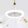 Cyaire Ceiling Fan with LED Lights