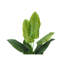 Plante artificielle