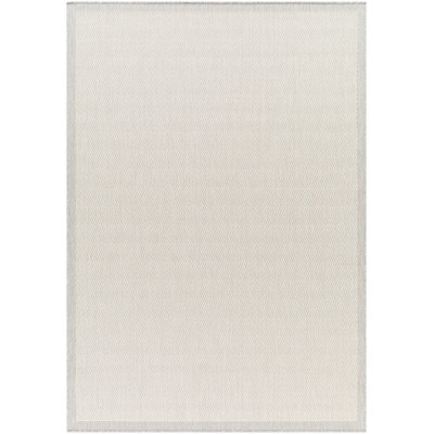 Indoor / Outdoor Rug