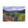 Quaking Aspen Forest In Autumn, Snowmass Mountain Near Quaking Aspen, Colorado by Tim Fitzharris - Wrapped Canvas Print