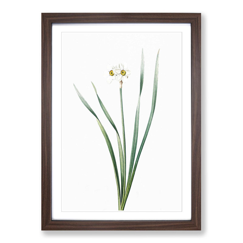 Primrose Flowers by Pierre-Joseph Redoute - Picture Frame Painting Print, 36cm H x 27cm W x 2cm D, Walnut Framed