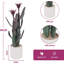 Arrangement