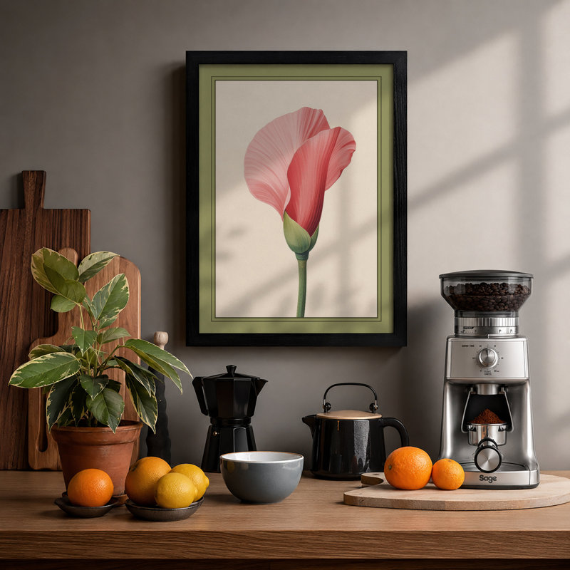 Pink Carnation Study Botanical - Framed Print, A4 - 29.7 x 21.0 cm, Black