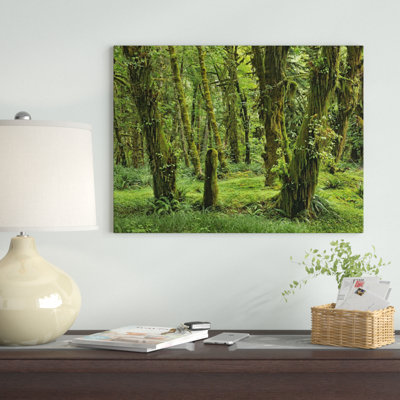 " Hoh Rainforest, Olympic National Park, Washington " by Tim Fitzharris