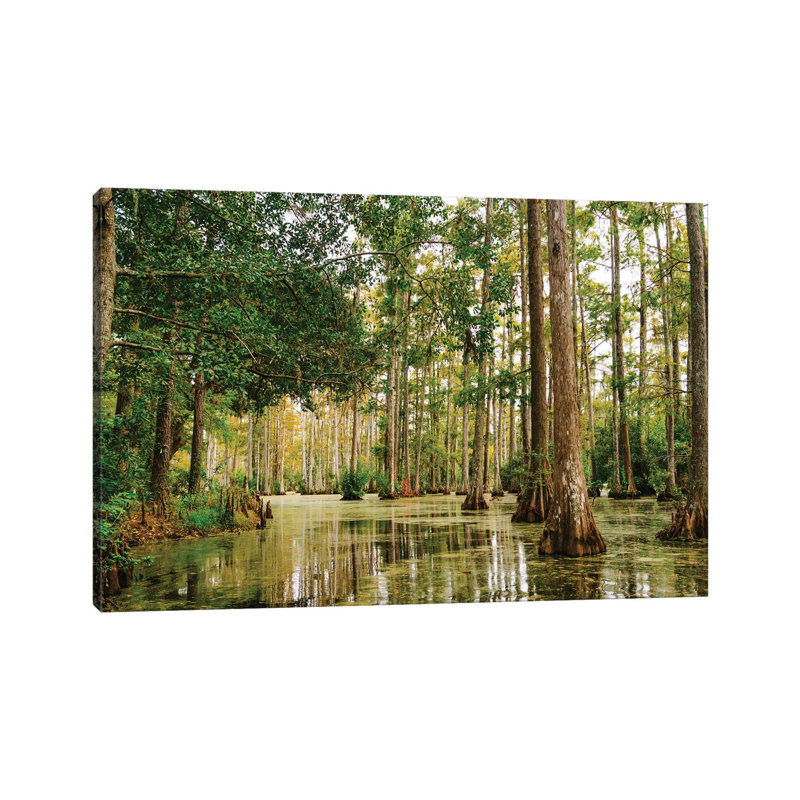 Charleston Cypress Gardens XLI by Bethany Young - Wrapped Canvas Print, 66.04 cm H x 45.72 cm W x 1.91 cm D