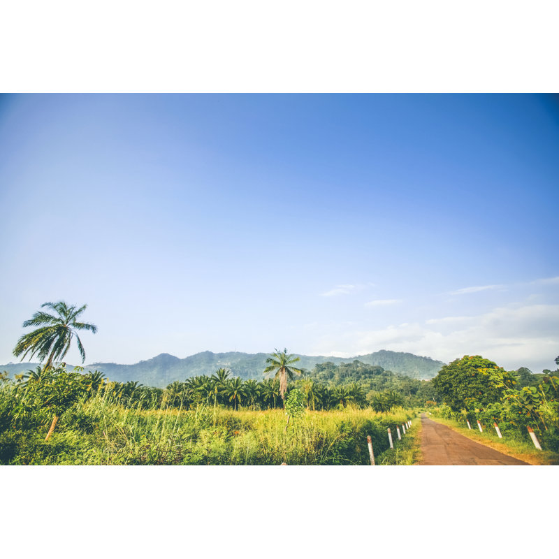 Route de la jungle africaine par Peeterv, H 12 po x l 18 po