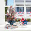 Patriotic/American Berry Table Tree